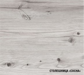 АСАЯ Кухонный гарнитур Экстра 2 (3000 мм) ПМ в Челябинске - mebel-74.com | фото