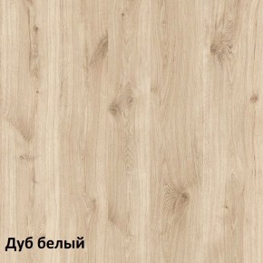 Эйп Шкаф для одежды 13.334 в Челябинске - mebel-74.com | фото