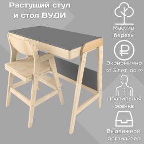 Комплект растущий стол и стул 38 попугаев «Вуди» (Серый, Без покрытия) в Челябинске - mebel-74.com | фото