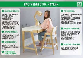 Комплект растущий стол и стул с чехлом 38 попугаев «Вуди» (Белый, Белый, Салют) в Челябинске - mebel-74.com | фото