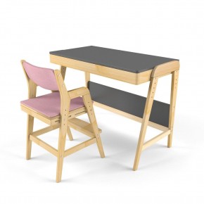 Комплект растущий стол и стул с чехлом 38 попугаев «Вуди» (Серый, Береза, Розовый) в Челябинске - mebel-74.com | фото