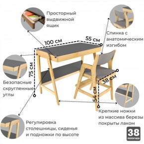 Комплект растущий стол и стул с чехлом 38 попугаев «Вуди» (Серый, Береза, Серый) в Челябинске - mebel-74.com | фото