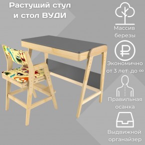Комплект растущий стол и стул с чехлом 38 попугаев «Вуди» (Серый, Без покрытия, Монстры) в Челябинске - mebel-74.com | фото