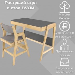 Комплект растущий стол и стул с чехлом 38 попугаев «Вуди» (Серый, Без покрытия, Серый) в Челябинске - mebel-74.com | фото