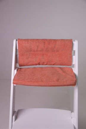 Комплект растущий стул и подушки Конёк Горбунёк Комфорт  (Белый, Терракота) в Челябинске - mebel-74.com | фото