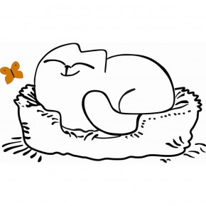 Кровать двухуровневая Кот № 900.1 ЛЕВАЯ (туя светлая/белый) в Челябинске - mebel-74.com | фото