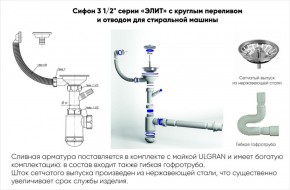 Мойка кухонная ULGRAN U-101 (500) в Челябинске - mebel-74.com | фото