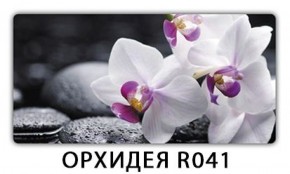 Обеденный стол Паук с фотопечатью узор Плита Р414 в Челябинске - mebel-74.com | фото