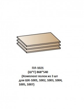 ПЛ-1021 (Комплект полок из 3 шт для ШК-1001, 1002, 1003, 1004, 1005, 1007) в Челябинске - mebel-74.com | фото