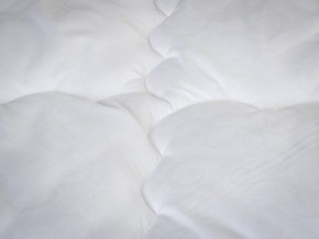 PROxSON Одеяло классическое PROSON (Стеганное полотно) 172x200 в Челябинске - mebel-74.com | фото
