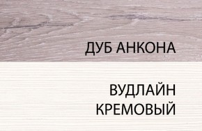 Шкаф 1DZ, OLIVIA, цвет вудлайн крем/дуб анкона в Челябинске - mebel-74.com | фото