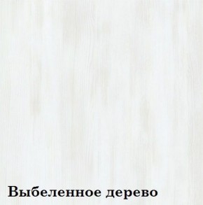 Шкаф 2-х секционный ЛЮКС 2 (фасад Зеркало) ЛДСП Стандарт в Челябинске - mebel-74.com | фото