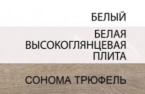 Шкаф 2D/TYP 20A, LINATE ,цвет белый/сонома трюфель в Челябинске - mebel-74.com | фото
