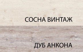 Шкаф 2D1S, MONAKO, цвет Сосна винтаж/дуб анкона в Челябинске - mebel-74.com | фото