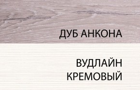 Шкаф 2DG, OLIVIA, цвет вудлайн крем/дуб анкона в Челябинске - mebel-74.com | фото
