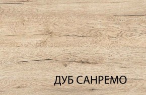 Шкаф 2DG OSKAR , цвет дуб Санремо в Челябинске - mebel-74.com | фото