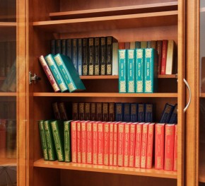 Шкаф для книг арт. 200 в Челябинске - mebel-74.com | фото