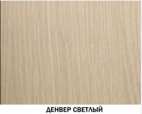 Шкаф для одежды №609 "Инна" Денвер светлый (*без полок) в Челябинске - mebel-74.com | фото