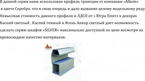 Шкаф-купе 1300 серии SILVER S4+S3Z+B2+PL1 (2 ящика+1 штанга) профиль «Серебро» в Челябинске - mebel-74.com | фото