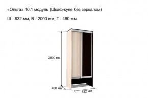 Шкаф купе без зеркала "Ольга 10.1" в Челябинске - mebel-74.com | фото