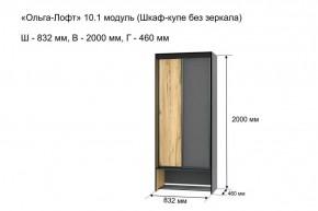 Шкаф купе без зеркала "Ольга-Лофт 10.1" в Челябинске - mebel-74.com | фото