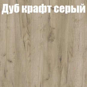 Шкаф-купе Эдем 1.5 (Дуб Крафт серый/Бетонный камень) двери ЛДСП в Челябинске - mebel-74.com | фото