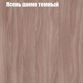 Шкаф-купе «ТАНДЕМ» 2-х дверный в алюминиевом профиле (Дверь К+К) 1200/h2200 в Челябинске - mebel-74.com | фото