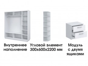 Шкаф-купе «ТАНДЕМ» 3-х дверный в белом профиле (Дверь ЛДСП+Z+Z) 2100/h2200 в Челябинске - mebel-74.com | фото