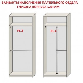 Шкаф распашной серия «ЗЕВС» (PL3/С1/PL2) в Челябинске - mebel-74.com | фото