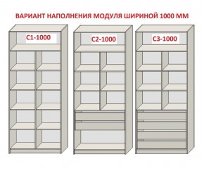 Шкаф распашной серия «ЗЕВС» (PL3/С1/PL2) в Челябинске - mebel-74.com | фото