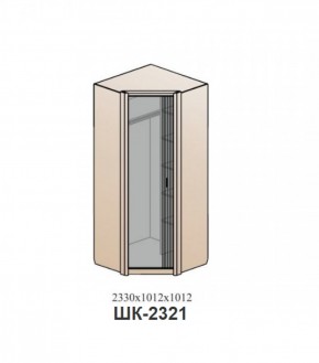 Шкаф ШЕР Дуб серый/айронвуд серебро (ШК-2321) в Челябинске - mebel-74.com | фото
