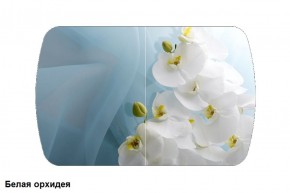 Стол Бостон 2 (1100*700) опоры Брифинг (Стекло/фотопечать Белая орхидея) в Челябинске - mebel-74.com | фото