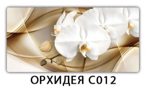 Стол раздвижной Трилогия с фотопечатью Доска D112 в Челябинске - mebel-74.com | фото