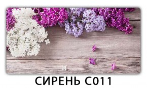 Стол раздвижной Трилогия с фотопечатью Орхидея C013 в Челябинске - mebel-74.com | фото