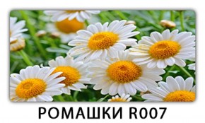 Стол раздвижной Трилогия с фотопечатью Орхидея R041 в Челябинске - mebel-74.com | фото