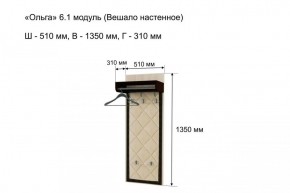 Вешало настенное "Ольга 6.1" в Челябинске - mebel-74.com | фото