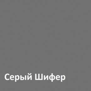 Юнона Шкаф торцевой 13.221 в Челябинске - mebel-74.com | фото